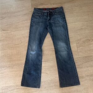 EVA Stylish Blue Jeans Express jeans size 6